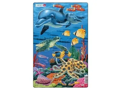 Klicka för större bild