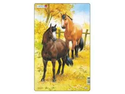 Klicka för större bild