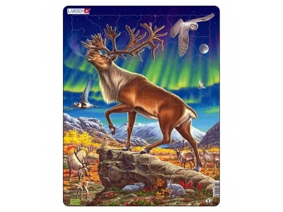 Klicka för större bild