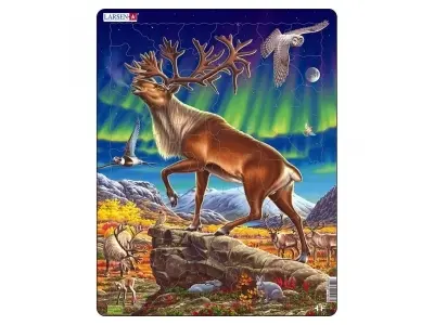 Klicka för större bild