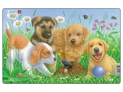 Klicka för större bild