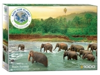 EuroGraphics: Rain Forest (1000)