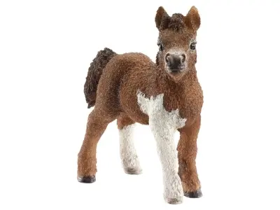 Klicka för större bild