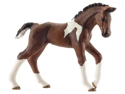 Klicka för större bild