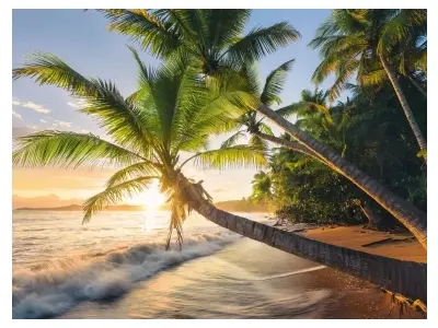 Klicka för större bild