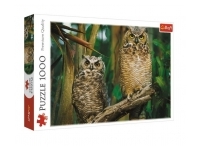 Trefl: Owls (1000)