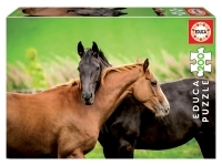 Educa: Horses (200)