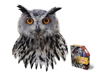 Klicka för större bild