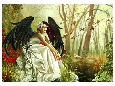 Klicka för större bild