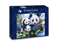 Bluebird Puzzle: Panda Family (1000)