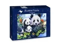 Bluebird Puzzle: Panda Family (1000)