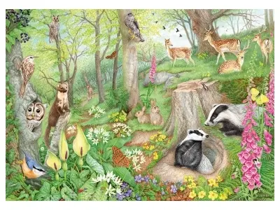 Klicka för större bild