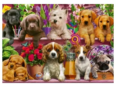 Klicka för större bild