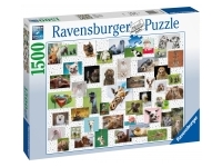 Ravensburger: Funny Animals Collage (1500)