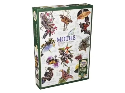 Klicka för större bild