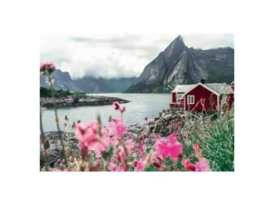 Klicka för större bild