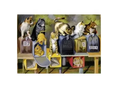 Klicka för större bild