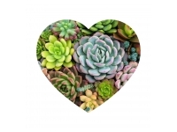 Puzzlocado: Trpussel - Heart Puzzle, Succulents (172)