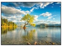 Puzzlocado: Trpussel - Wanaka Lake (450)