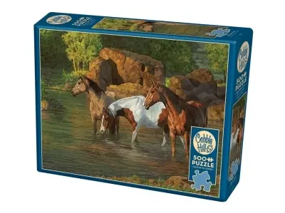 Klicka för större bild