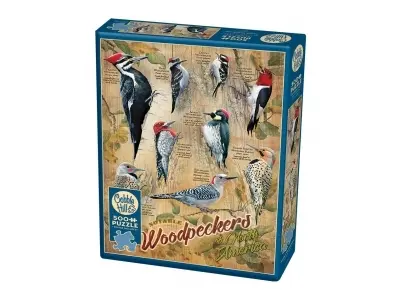 Klicka för större bild