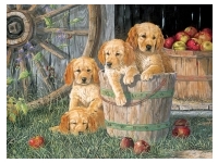 Cobble Hill: Family Pieces - Puppy Pail (350)