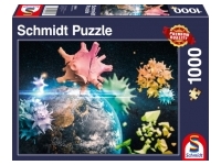 Schmidt: Planet Earth 2020 (1000)