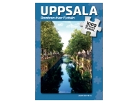 Svenskapussel: Uppsala - Dombron ver Fyrisn (1000)