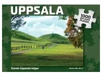 Svenskapussel: Uppsala - Gamla Uppsala Högar (1000)