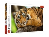 Trefl: Tiger Portrait (500)