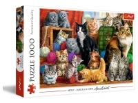 Trefl: Feline Meeting (1000)