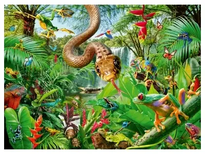 Klicka för större bild