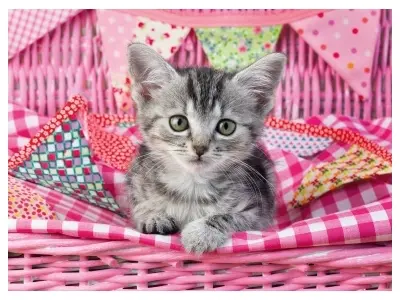 Klicka för större bild