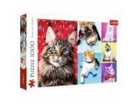 Trefl: Happy Cats (1000)