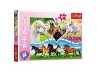 Trefl: Beautiful horses (200)