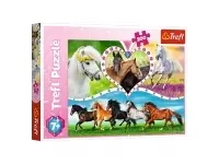 Trefl: Beautiful horses (200)