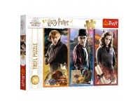 Trefl: Harry Potter - Ron, Harry & Hermione (200)