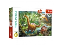 Trefl: Dinosaur Migration (60)