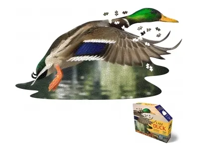 Klicka för större bild