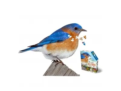 Klicka för större bild