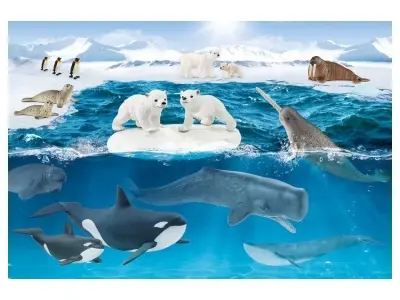 Klicka för större bild