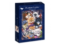Bluebird Puzzle: Kittens in Closet (1000)