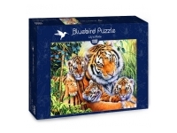 Bluebird Puzzle: Lily's Pride (1000)