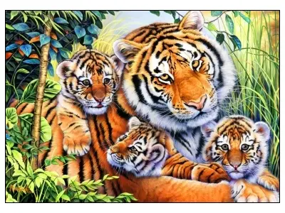 Klicka för större bild