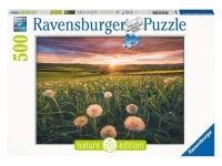 Ravensburger: Nature Edition - Dandelions at Sunset (500)