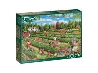 Falcon: Strawberry Picking (1000)