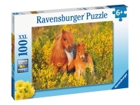 Ravensburger: Shetland Ponies (100)
