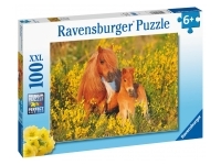 Ravensburger: Shetland Ponies (100)