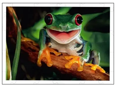 Klicka för större bild