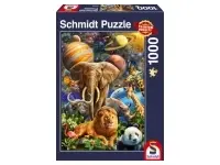 Schmidt: Wonderful Universe (1000)